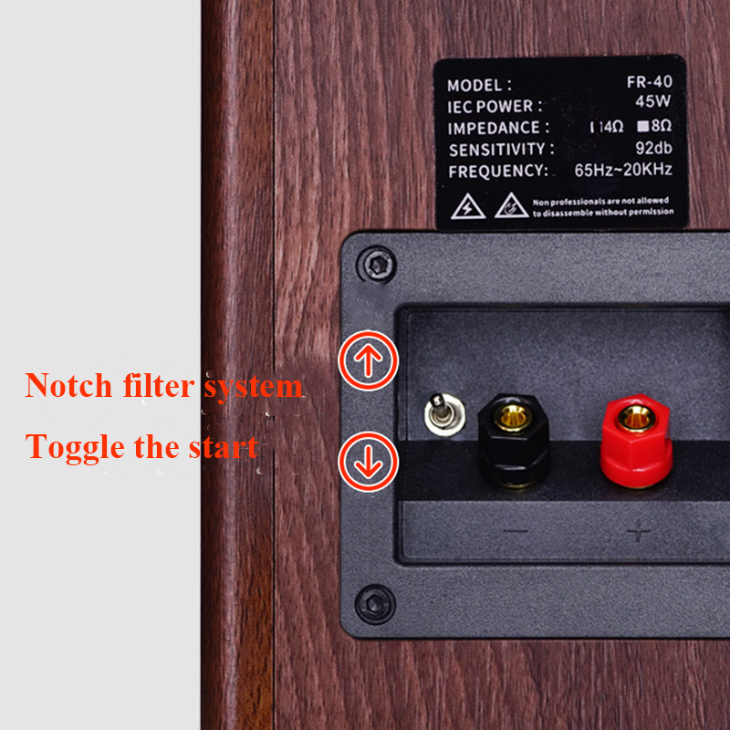 FR40 Lossless HIFI Passive Spe - đánh giá và giá Home Cinema Subwoofer